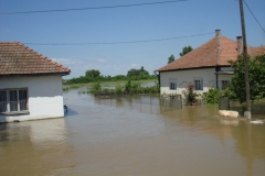 dsc00572