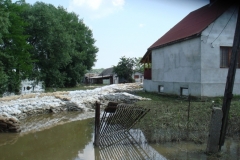 dsc00929
